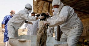 ارتفاع وفيات الحمى النزفية في العراق خلال العام الحالي