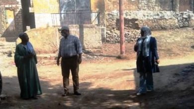 نفي وجود حيوانات مفترسة في خور عواضة بأسوان